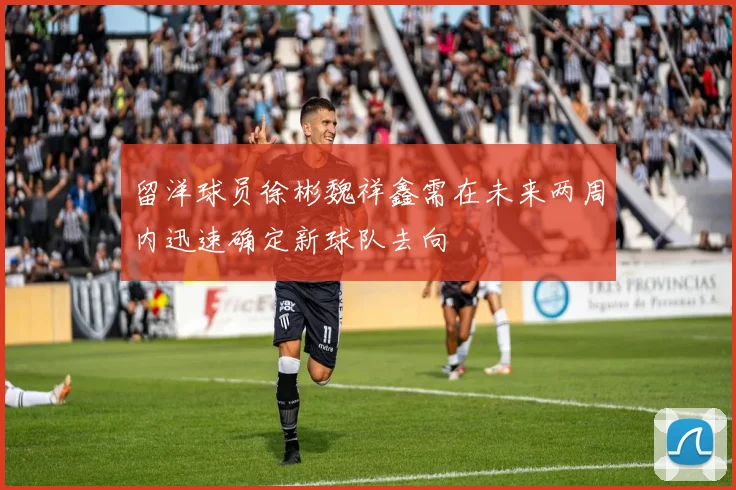留洋球员徐彬魏祥鑫需在未来两周内迅速确定新球队去向